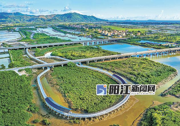广东阳东寿长河红树林国家湿地公园俯瞰.jpg