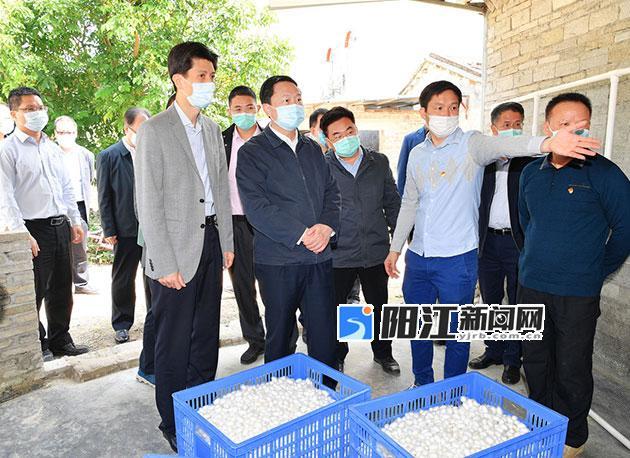 姚奕生到阳江调研精准扶贫和产业共建工作.jpg