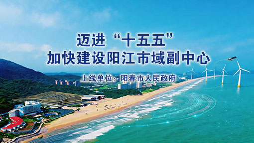 阳春市委副书记、市长张艾鹏