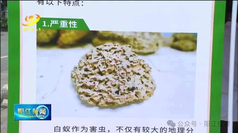 截图_选择区域_20240627150945.jpg