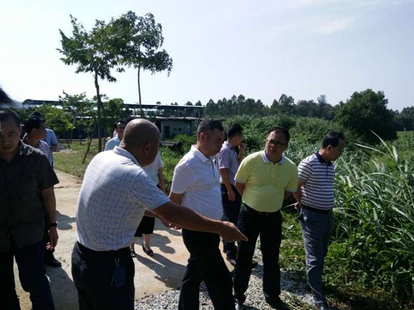 江城区区委书记、区长陈基文调研市环保园环境保护工作