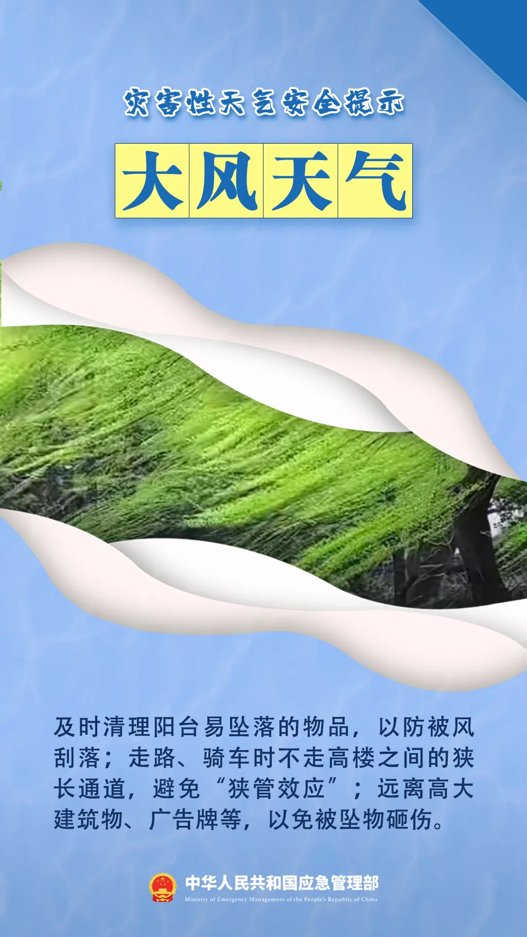 bc79f18777d473ca314b.webp