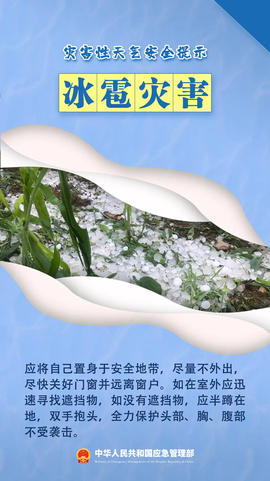 2464fe800da190c0c175.webp